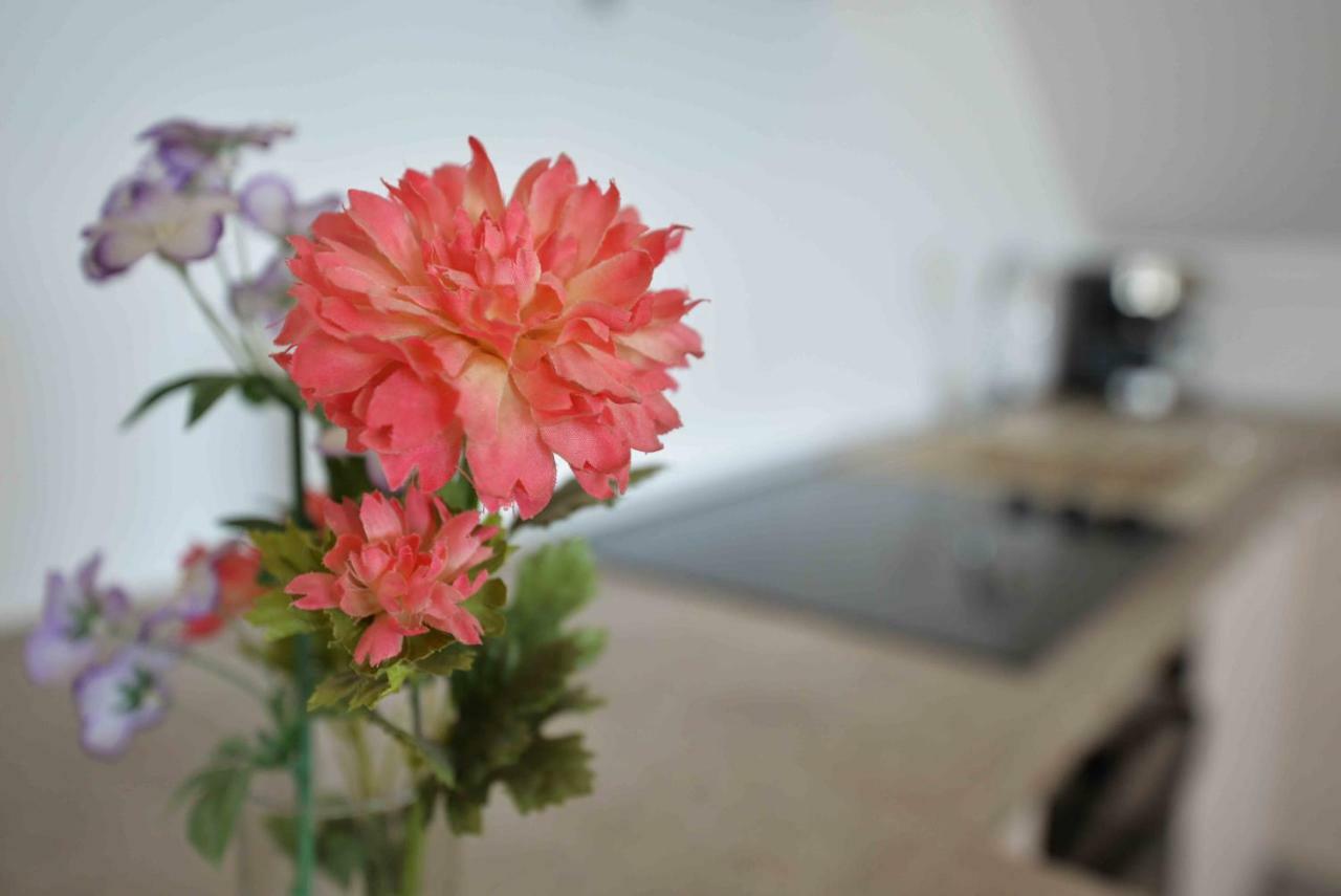 Apartmani Mikin Бетина Экстерьер фото